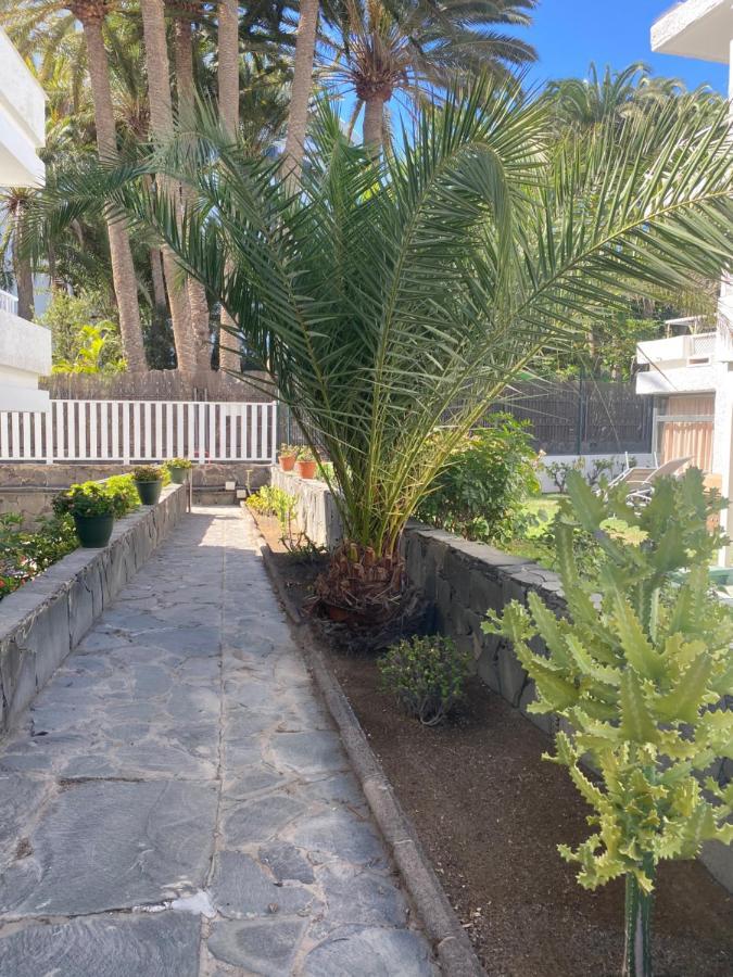Oasis Playa Appartamento