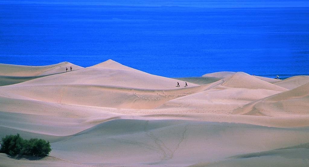 Oasis Playa Maspalomas (Gran Canaria)