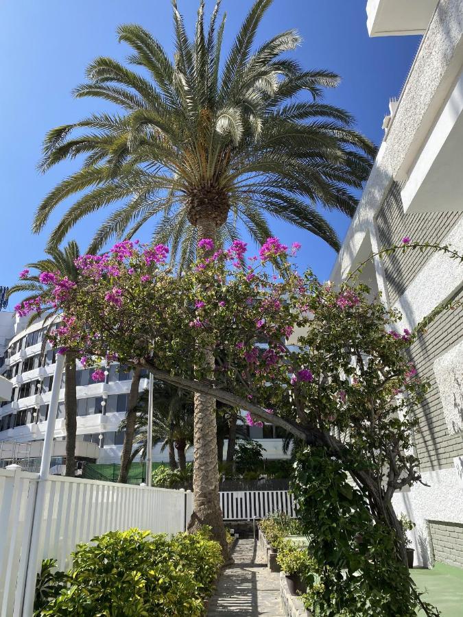Oasis Playa * Maspalomas (Gran Canaria)